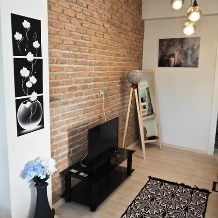 Peaceful Comfortable Clear Center Familyhouse Lejlighed Istanbul